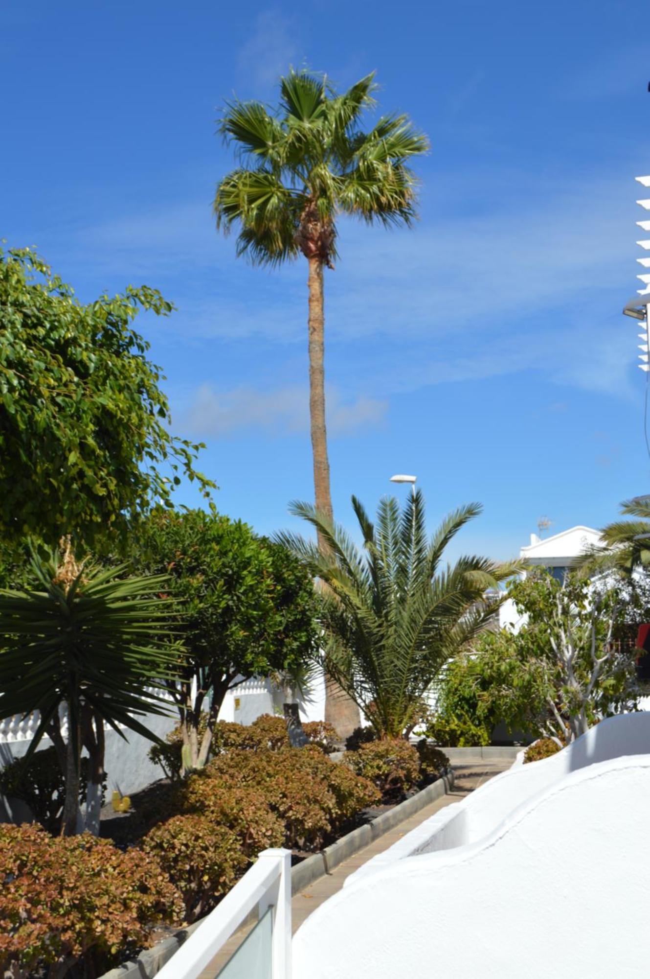 Lava Teneguia, 5 Guests In 2 Bedrooms Apartamento Puerto del Carmen (Lanzarote)